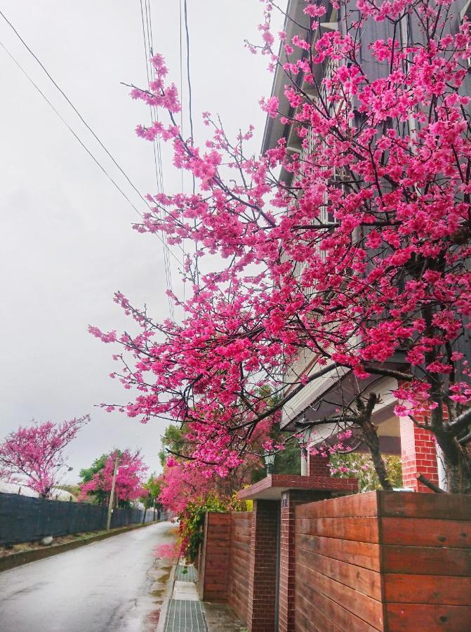 Xinshe Xiao Shu Time Homestay Exterior photo